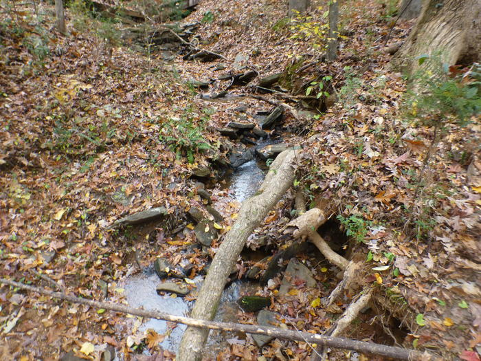 Creek Listing photo 10