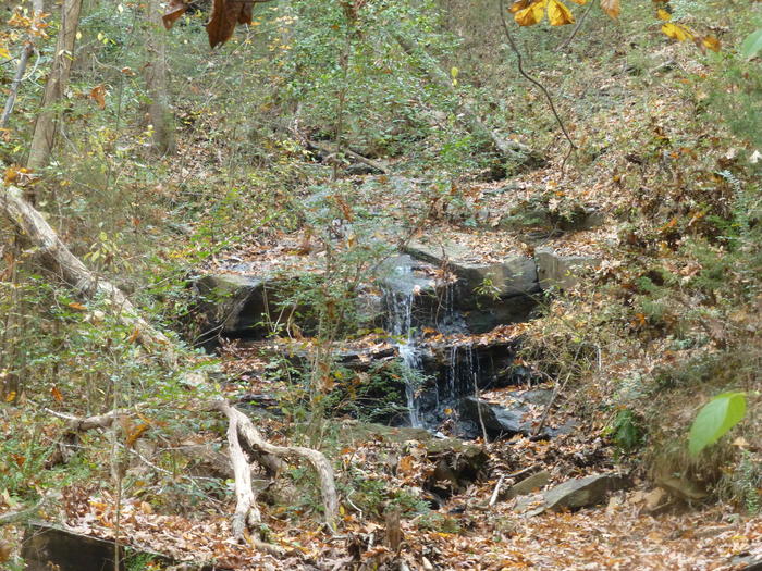 Creek Listing photo 11