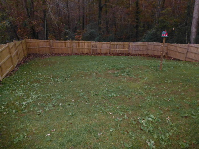 Fenced Yard Listing photo 29