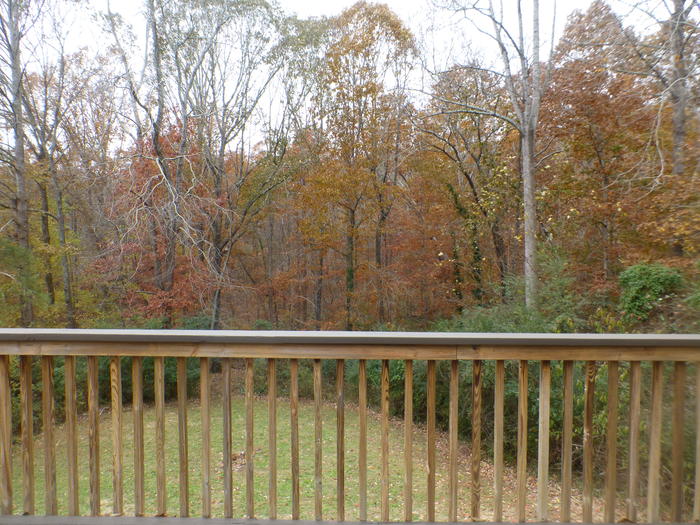 Private 1.2 Acre Listing photo 6