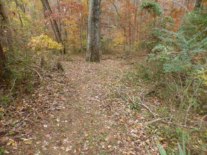 Trails to Creek Listing photo 8