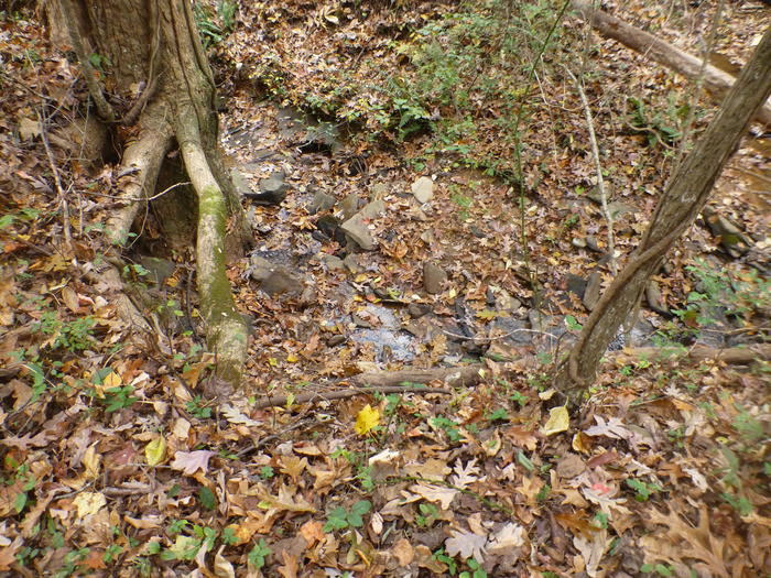 250 ft. frontage Listing photo 9