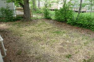 Back fenced yard Listing photo 3